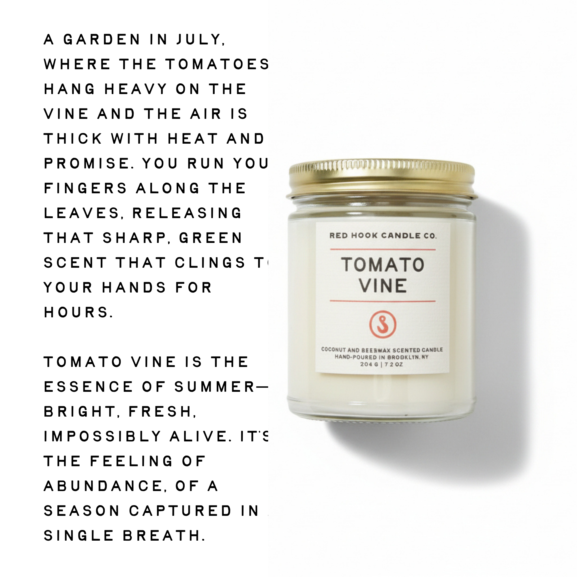 Tomato Vine Candle | Leafy Tomato, Basil & Moss | Hand-Poured in Brooklyn