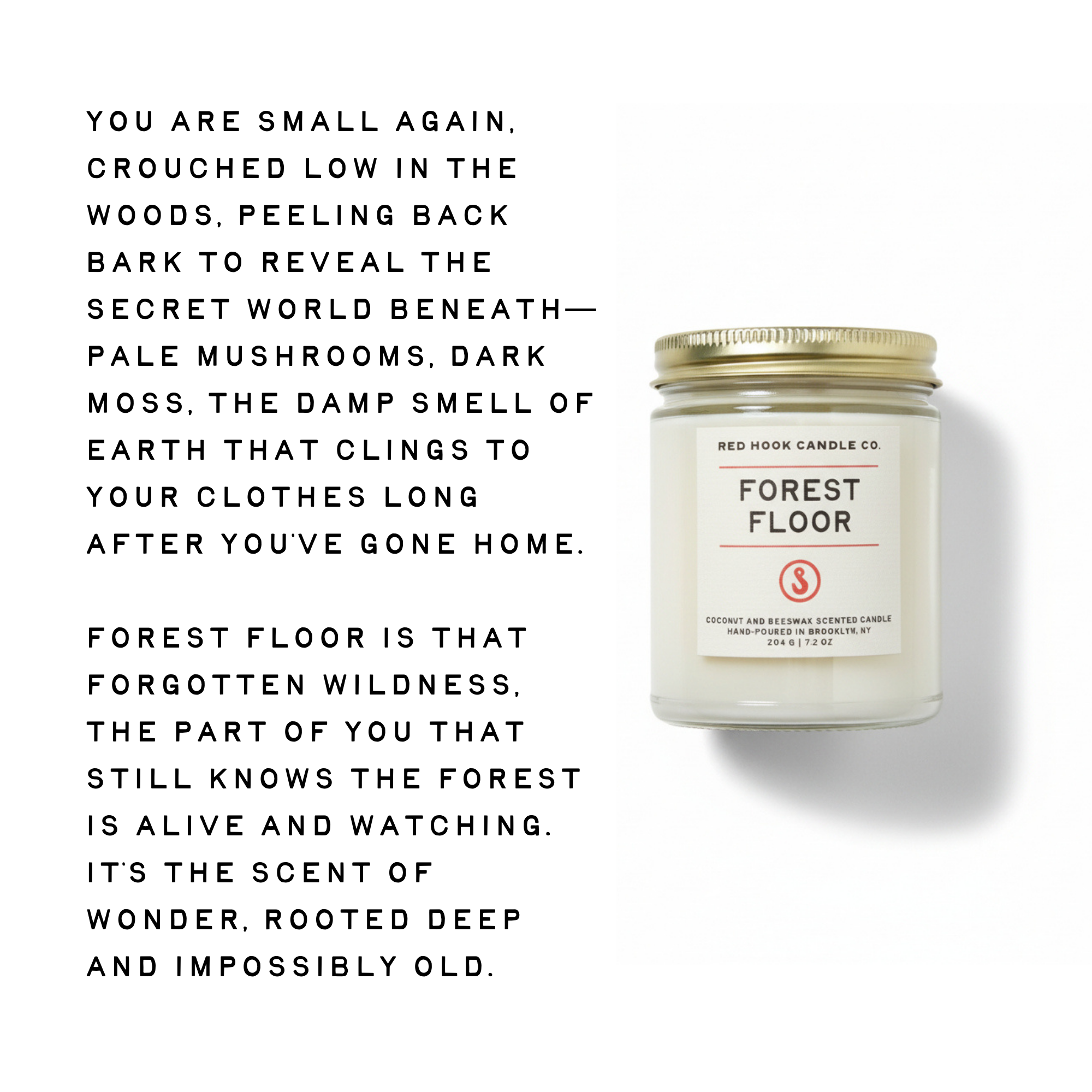 Forest Floor Candle | Earthy Moss Mushroom & Cedar | Hand-Poured in Brooklyn