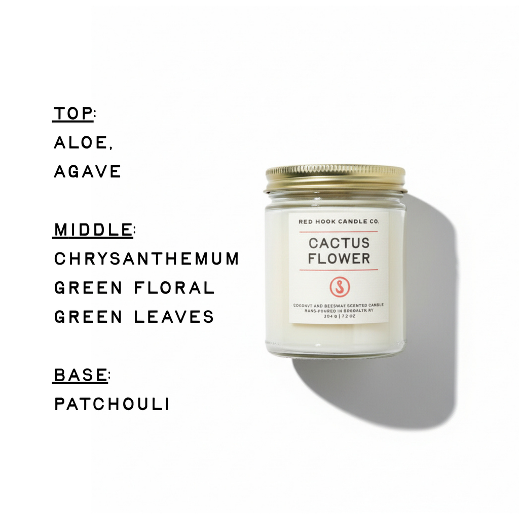 The Earthbound Trio | 3-Pack Candle Gift Set | Tomato Vine, Cactus Flower, Forest Floor